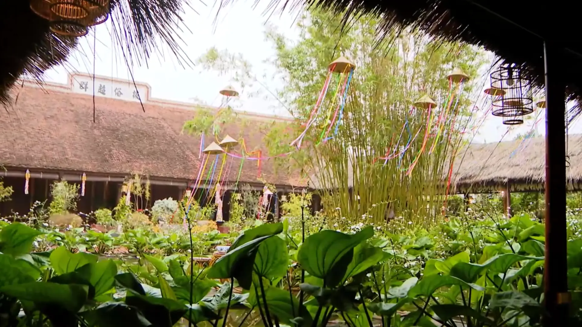 Không gian tĩnh tại giữa làng quê Hà Nội | Hà Nội đến để yêu | 27/12/2025